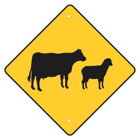 Traffic Sign Cattle Au