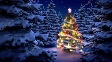 Lightened Christmas Tree In Pine Woods Stock Photo By ©imtmphoto 84169370