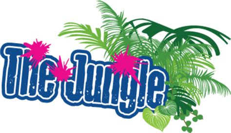 The Jungle Ni Offsite Activities Magherafelt Outdoor Adventure