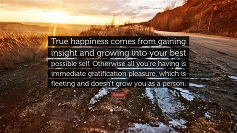 Aristotle Quote True Happiness Comes From Gaining Insight And Growing