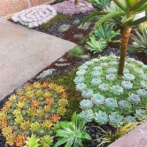 36 Awesome Succulent Front Yard Landscaping Ideas Magzhouse