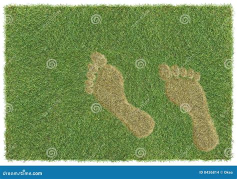 Footprint On Grass Stock Photo Image Of Lawn Damage 8436814