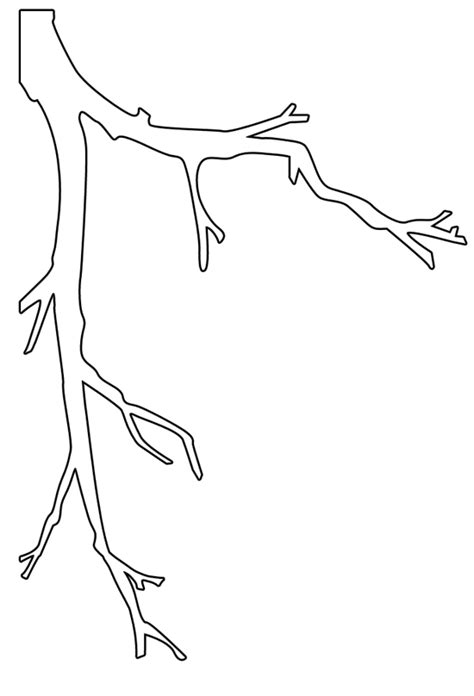 Coloring Pages Of Trees With Branches at GetColorings.com | Free