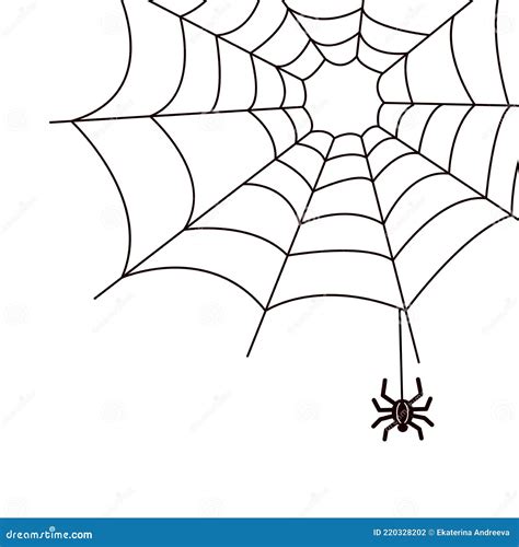 Spider Web In Corner Stock Vector Illustration Of Fear 220328202