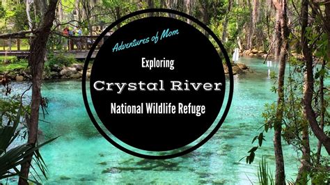 Exploring Crystal River National Wildlife Refuge Youtube
