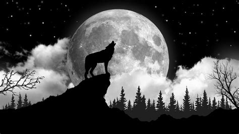 A Wolf Standing On Top Of A Hill In Front Of A Full Moon With Trees
