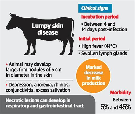 Icar Develops Vaccine For Lumpy Skin Disease In Cattle The Hindu
