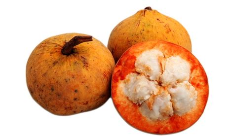 Santol Ecured