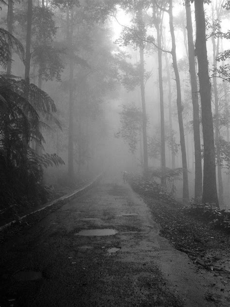 Foggy Road Foggy Photography Country Roads Take Me Home
