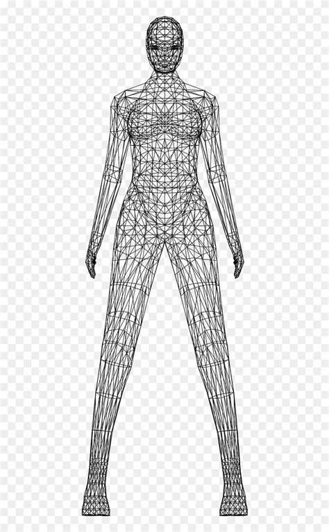 Woman Wireframe Low Poly Free Picture Sexy Woman 3d Wireframe Body