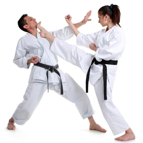 Best Of Karate Kicking Techniques Karate Kyokushin Arts Martial Ryu Shotokan Workout Goju Kata