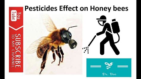 Pesticides Effect On Honey Bees Youtube