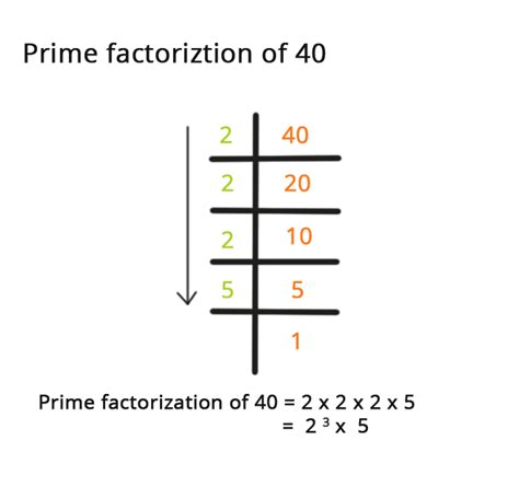 What Is Prime Factorisation In Maths Definition Types And Importance Of Prime Factorisation Aesl