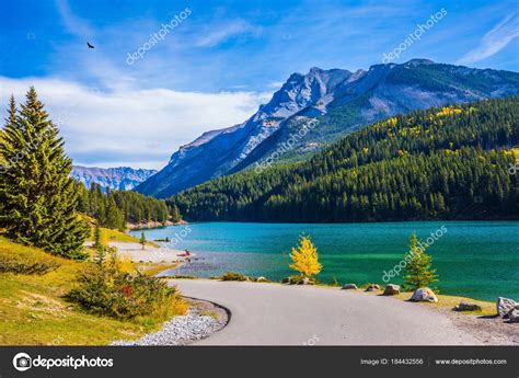 Pure Turquoise Water Lake Reflects Coniferous Forests Golden Autumn
