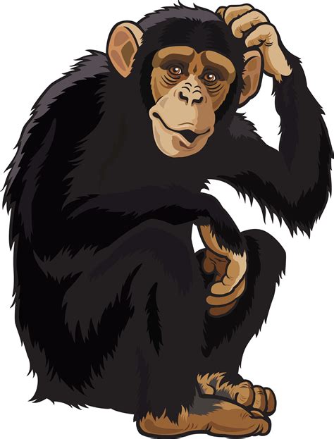 Scmonkey Monkey Drawing Monkeysee Sticker By Anihahaxedit
