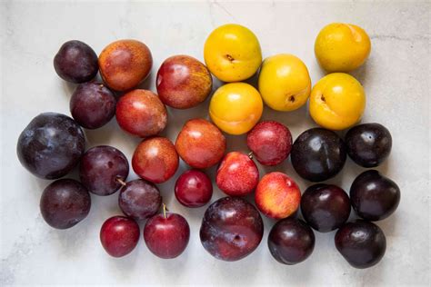 Your Guide To Plums Varieties Season And How To Pick The Best One