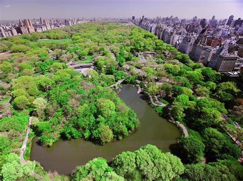 Aerial View Of Central Park In Spring 1 Photograph By Panoramic Images