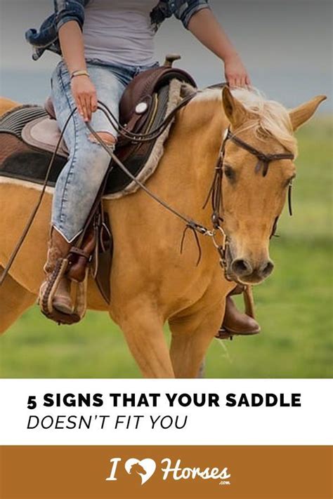 5 Important Signs That Your Saddle Doesnt Fit You Horses Horse