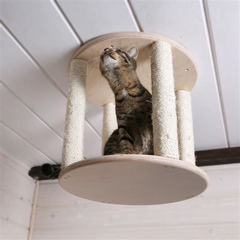 Ceiling Complex For Cats Etsy