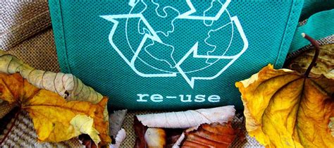 Top Five Office Recycling Initiatives Sustainable Business Toolkit