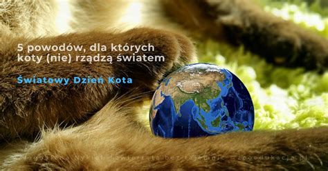 Wprawdzie w gajówce kot ma codziennie swój dzień, ale upamiętnijmy go dodatkowo okolicznościowym artykułem dla posiadaczy i miłośników kotów małych i dużych. Na Światowy Dzień Kota: 5 powodów, dla których koty (nie) rządzą światem