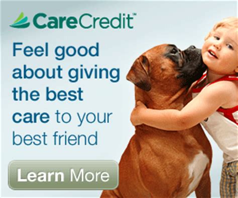 Care credit — getting a card. CareCredit - Sunnycrest Animal Care Center