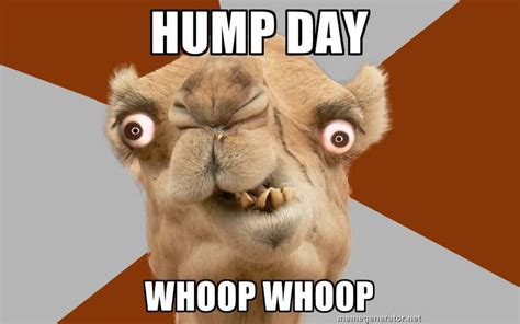 Happy Hump Day Meme Wishes And Images Preet Kamal