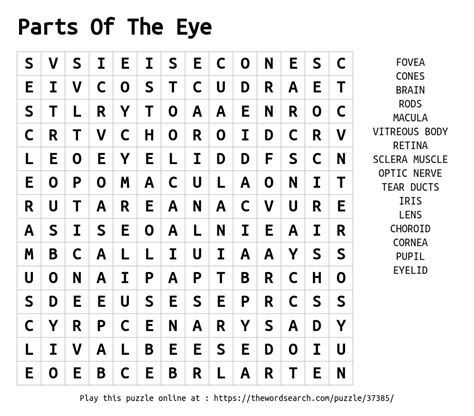 Download Word Search On Parts Of The Eye