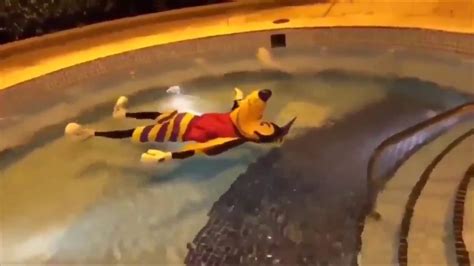 Goofy Floating In A Pool While Champagne Supernova Plays Youtube
