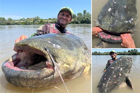 A 9 Foot Catfish That Was Caught In Italy Could Set A New World Record