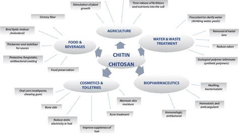 8 Industrial Uses Of Chitin Chitosan Download Scientific Diagram