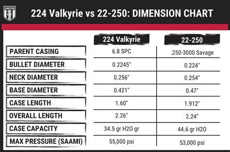 224 Valkyrie Vs 22 250 Caliber Comparison By