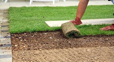 Avoid laying sod during times of drought or water restriction. Is it Possible to Lay Turf in Winter? - Hi Quality Turf