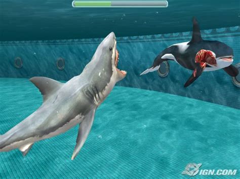 Jaws Unleashed Pc Download Free Game Full Version Asimbaba Free
