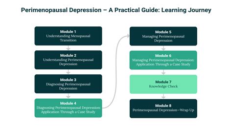 Perimenopausal Depression A Practical Guide The Academy By Psych