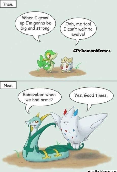 A Dose Of Pokemon Humor — 毎日アニメ夢