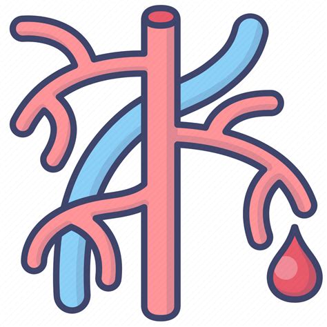 Artery Blood Capillary Vessel Icon Download On Iconfinder