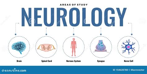 Studying Neurology Infographic Composition Stock Vector Illustration
