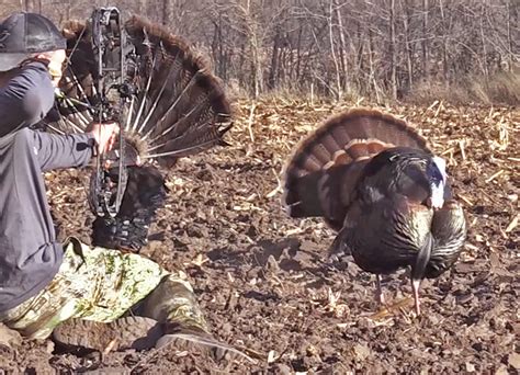 How To Reap Turkeys With The Original Turkey Reaper Field And Stream