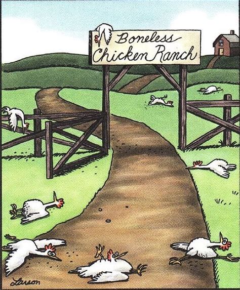 Boneless Chicken Farm Chicken Humor Great Jokes Far Side Cartoons
