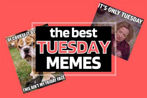 Best Tuesdays Memes Cheer Up Your Day With Some Funny Memes Happy