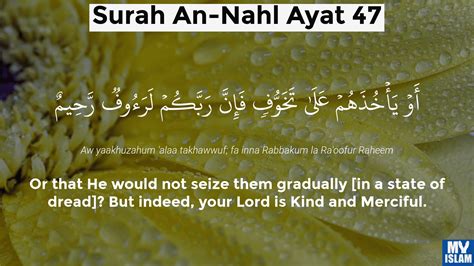 Surah An Nahl Ayat 43 1643 Quran With Tafsir My Islam
