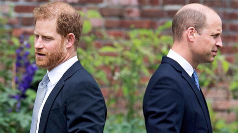 Prince Harry And Prince William Psychologist On Sibling Bullying News In Germany