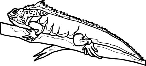 Lizard Coloring Page 26