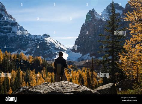 Tourist Looking At The Glaciers In Lake Ohara In Autumn Yoho National