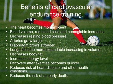 Incredible Five Benefits Of Cardiorespiratory Endurance Exercise Ideas Cardio Workout Routine