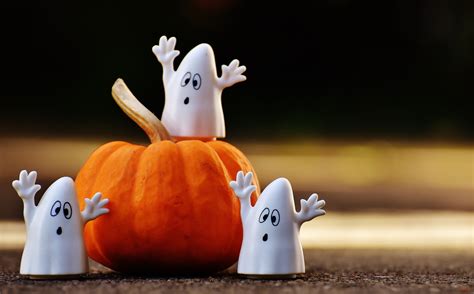 Free Images Group Spooky Cute Decoration Autumn Pumpkin Figure