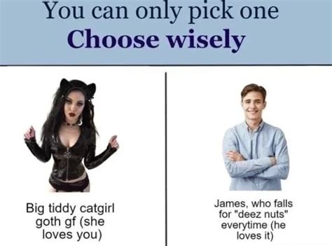 You Can Only Pick One Choose Wisely James Who Falls Big Tiddy Catgirl
