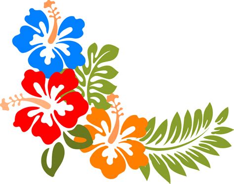 Hibisco Havaí Flores Gráfico Vetorial Grátis No Pixabay