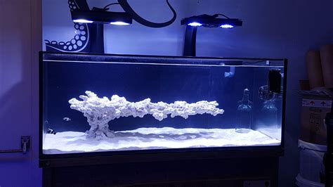 Kraken Corals Limited Floating Reef Aquascape Cool Fish Tank